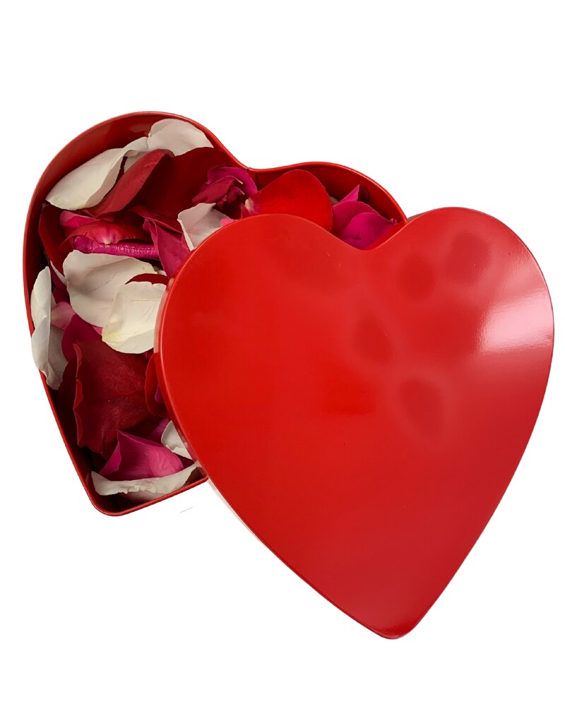 Petals of Love
